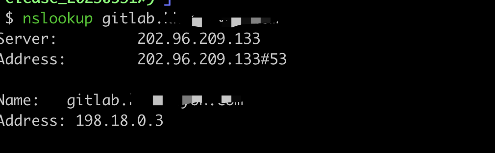 image-20241218114436603